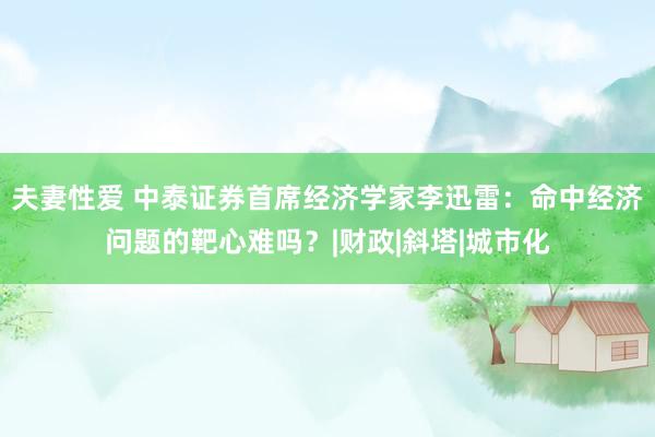 夫妻性爱 中泰证券首席经济学家李迅雷：命中经济问题的靶心难吗？|财政|斜塔|城市化
