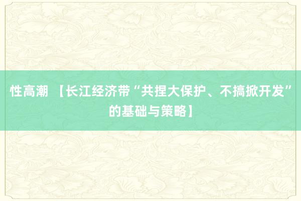 性高潮 【长江经济带“共捏大保护、不搞掀开发”的基础与策略】