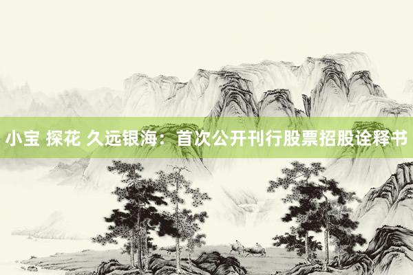 小宝 探花 久远银海：首次公开刊行股票招股诠释书