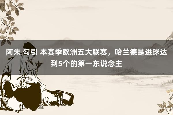阿朱 勾引 本赛季欧洲五大联赛，哈兰德是进球达到5个的第一东说念主