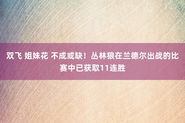 双飞 姐妹花 不成或缺！丛林狼在兰德尔出战的比赛中已获取11连胜